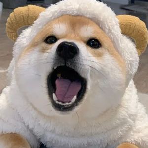 王哪摸资料,王哪摸最新歌曲,王哪摸MV视频,王哪摸音乐专辑,王哪摸好听的歌