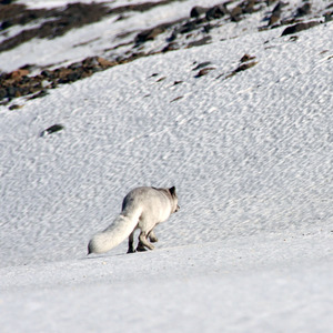 木辛资料,木辛最新歌曲,木辛MV视频,木辛音乐专辑,木辛好听的歌