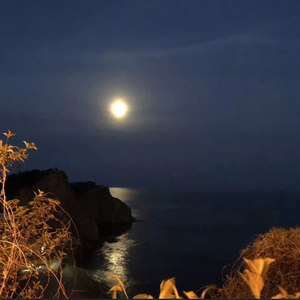 顾城Nove资料,顾城Nove最新歌曲,顾城NoveMV视频,顾城Nove音乐专辑,顾城Nove好听的歌