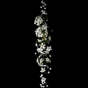 郭秋实资料,郭秋实最新歌曲,郭秋实MV视频,郭秋实音乐专辑,郭秋实好听的歌