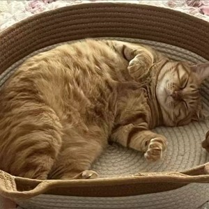 哈歌haugor资料,哈歌haugor最新歌曲,哈歌haugorMV视频,哈歌haugor音乐专辑,哈歌haugor好听的歌