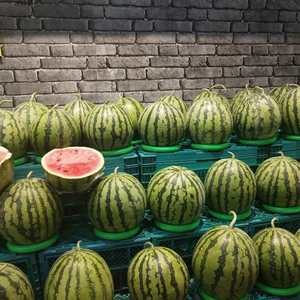 带刀柿味资料,带刀柿味最新歌曲,带刀柿味MV视频,带刀柿味音乐专辑,带刀柿味好听的歌