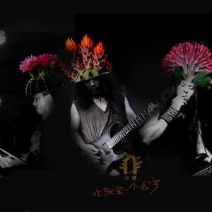 【功夫不负有心人】(石家庄现场)。。_混缩