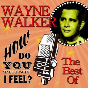 Wayne Walker资料,Wayne Walker最新歌曲,Wayne WalkerMV视频,Wayne Walker音乐专辑,Wayne Walker好听的歌