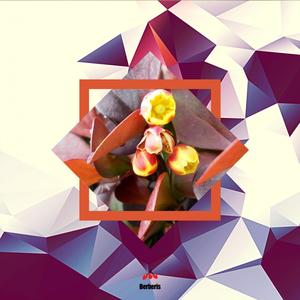 Milos Pesovic资料,Milos Pesovic最新歌曲,Milos PesovicMV视频,Milos Pesovic音乐专辑,Milos Pesovic好听的歌