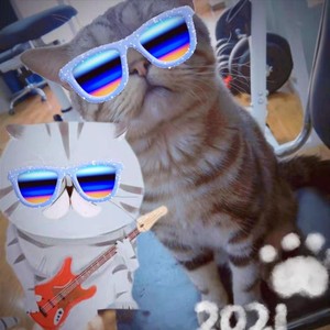 卧底小猫和饼乐队资料,卧底小猫和饼乐队最新歌曲,卧底小猫和饼乐队MV视频,卧底小猫和饼乐队音乐专辑,卧底小猫和饼乐队好听的歌