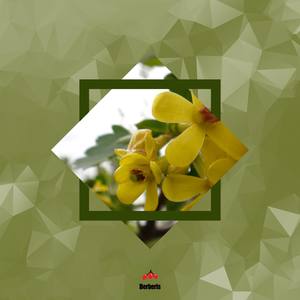 Corey Biggs资料,Corey Biggs最新歌曲,Corey BiggsMV视频,Corey Biggs音乐专辑,Corey Biggs好听的歌