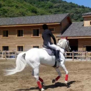 Purple资料,Purple最新歌曲,PurpleMV视频,Purple音乐专辑,Purple好听的歌