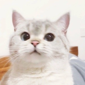 禾包资料,禾包最新歌曲,禾包MV视频,禾包音乐专辑,禾包好听的歌