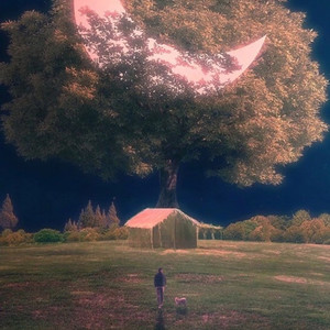 夜莺资料,夜莺最新歌曲,夜莺MV视频,夜莺音乐专辑,夜莺好听的歌