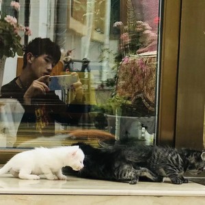 小七资料,小七最新歌曲,小七MV视频,小七音乐专辑,小七好听的歌