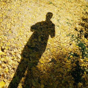 红心柚子资料,红心柚子最新歌曲,红心柚子MV视频,红心柚子音乐专辑,红心柚子好听的歌