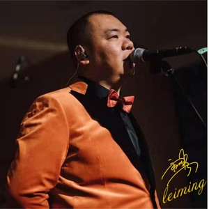 雷鸣资料,雷鸣最新歌曲,雷鸣MV视频,雷鸣音乐专辑,雷鸣好听的歌