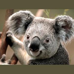 OG Jin资料,OG Jin最新歌曲,OG JinMV视频,OG Jin音乐专辑,OG Jin好听的歌