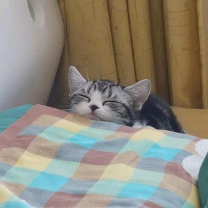 康恩同學资料,康恩同學最新歌曲,康恩同學MV视频,康恩同學音乐专辑,康恩同學好听的歌