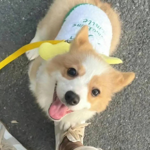 米粒要熟透资料,米粒要熟透最新歌曲,米粒要熟透MV视频,米粒要熟透音乐专辑,米粒要熟透好听的歌