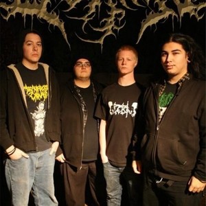 Cerebral Incubation资料,Cerebral Incubation最新歌曲,Cerebral IncubationMV视频,Cerebral Incubation音乐专辑,Cerebral Incubation好听的歌