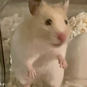 路二木资料,路二木最新歌曲,路二木MV视频,路二木音乐专辑,路二木好听的歌