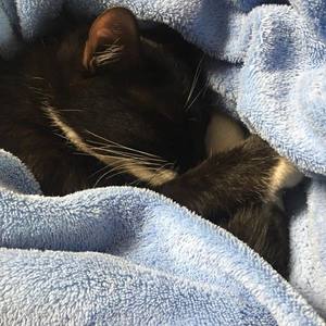 Ling资料,Ling最新歌曲,LingMV视频,Ling音乐专辑,Ling好听的歌