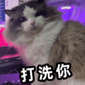 土豆资料,土豆最新歌曲,土豆MV视频,土豆音乐专辑,土豆好听的歌