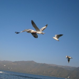 永远的五组六资料,永远的五组六最新歌曲,永远的五组六MV视频,永远的五组六音乐专辑,永远的五组六好听的歌