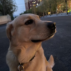 苦了妈妈 累了爸爸