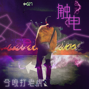 今晚打老虎资料,今晚打老虎最新歌曲,今晚打老虎MV视频,今晚打老虎音乐专辑,今晚打老虎好听的歌