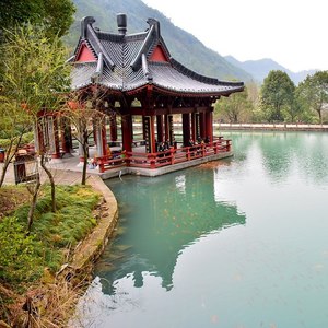 小焦 - 军中绿花