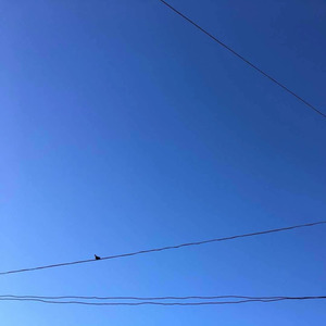岳泽峰资料,岳泽峰最新歌曲,岳泽峰MV视频,岳泽峰音乐专辑,岳泽峰好听的歌