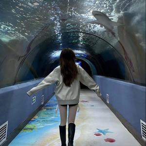 A.A.F资料,A.A.F最新歌曲,A.A.FMV视频,A.A.F音乐专辑,A.A.F好听的歌