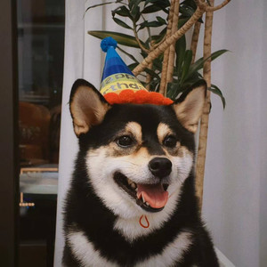 图南_r资料,图南_r最新歌曲,图南_rMV视频,图南_r音乐专辑,图南_r好听的歌