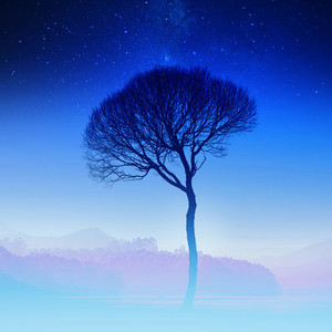 Dave Hewson资料,Dave Hewson最新歌曲,Dave HewsonMV视频,Dave Hewson音乐专辑,Dave Hewson好听的歌