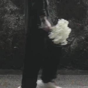 LiL Cream资料,LiL Cream最新歌曲,LiL CreamMV视频,LiL Cream音乐专辑,LiL Cream好听的歌