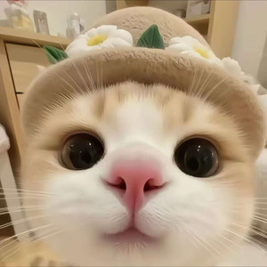 繁星灵猫资料,繁星灵猫最新歌曲,繁星灵猫MV视频,繁星灵猫音乐专辑,繁星灵猫好听的歌