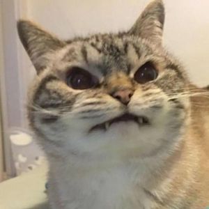 期待爱资料,期待爱最新歌曲,期待爱MV视频,期待爱音乐专辑,期待爱好听的歌