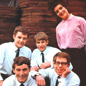 The Honeycombs