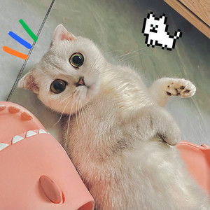 周诺诺资料,周诺诺最新歌曲,周诺诺MV视频,周诺诺音乐专辑,周诺诺好听的歌