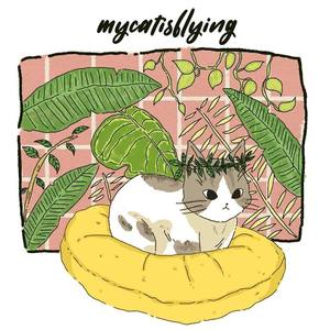 Mycatisflying资料,Mycatisflying最新歌曲,MycatisflyingMV视频,Mycatisflying音乐专辑,Mycatisflying好听的歌