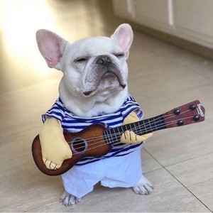 隔壁老汪资料,隔壁老汪最新歌曲,隔壁老汪MV视频,隔壁老汪音乐专辑,隔壁老汪好听的歌