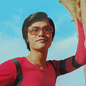 只要你一个