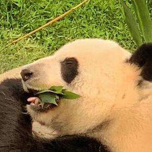 Dr. Lo资料,Dr. Lo最新歌曲,Dr. LoMV视频,Dr. Lo音乐专辑,Dr. Lo好听的歌