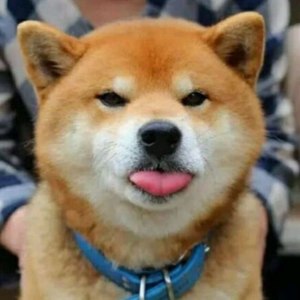 小硕资料,小硕最新歌曲,小硕MV视频,小硕音乐专辑,小硕好听的歌