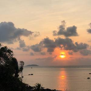 阿黑 - 秋天不回来