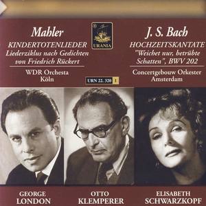 Hermann Schey资料,Hermann Schey最新歌曲,Hermann ScheyMV视频,Hermann Schey音乐专辑,Hermann Schey好听的歌