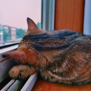 鄢康文资料,鄢康文最新歌曲,鄢康文MV视频,鄢康文音乐专辑,鄢康文好听的歌