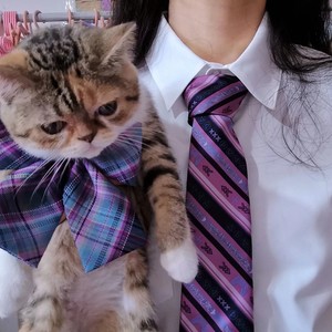 不要在我寂寞的时候说爱我