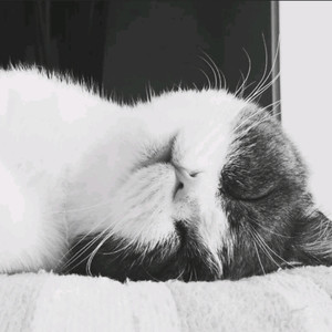 七少爷资料,七少爷最新歌曲,七少爷MV视频,七少爷音乐专辑,七少爷好听的歌