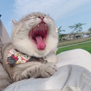 周星星资料,周星星最新歌曲,周星星MV视频,周星星音乐专辑,周星星好听的歌