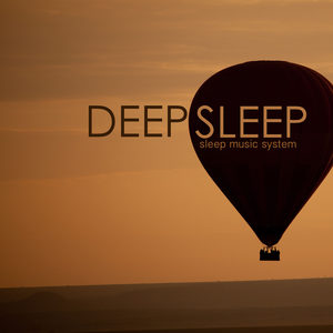 Deep Sleep System