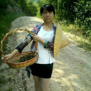 陈风芹资料,陈风芹最新歌曲,陈风芹MV视频,陈风芹音乐专辑,陈风芹好听的歌